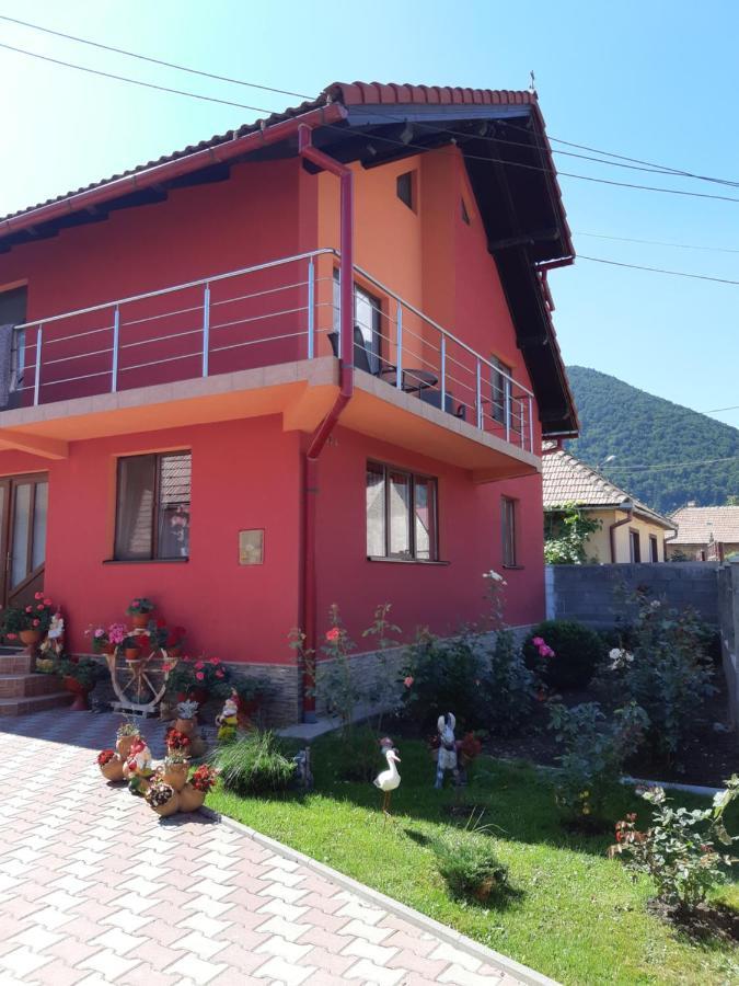 Vila Georgeta Zărneşti Exteriér fotografie