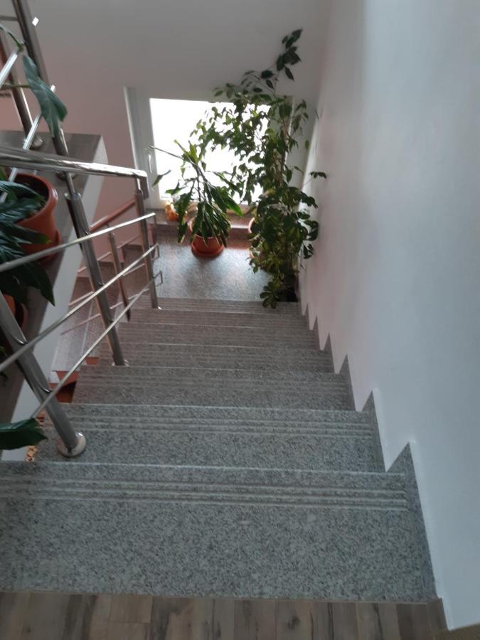 Vila Georgeta Zărneşti Exteriér fotografie