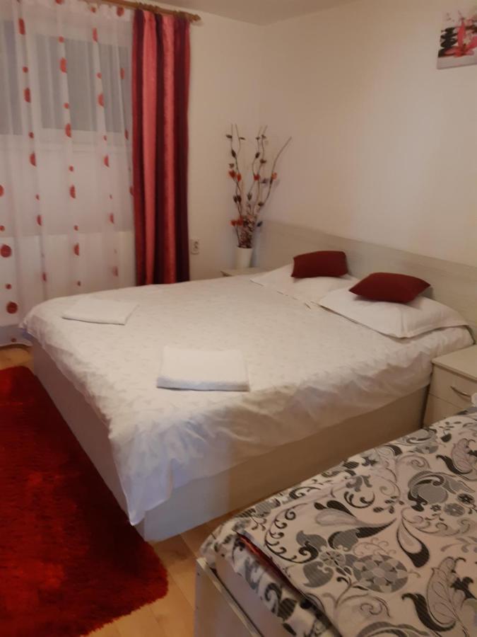 Vila Georgeta Zărneşti Exteriér fotografie