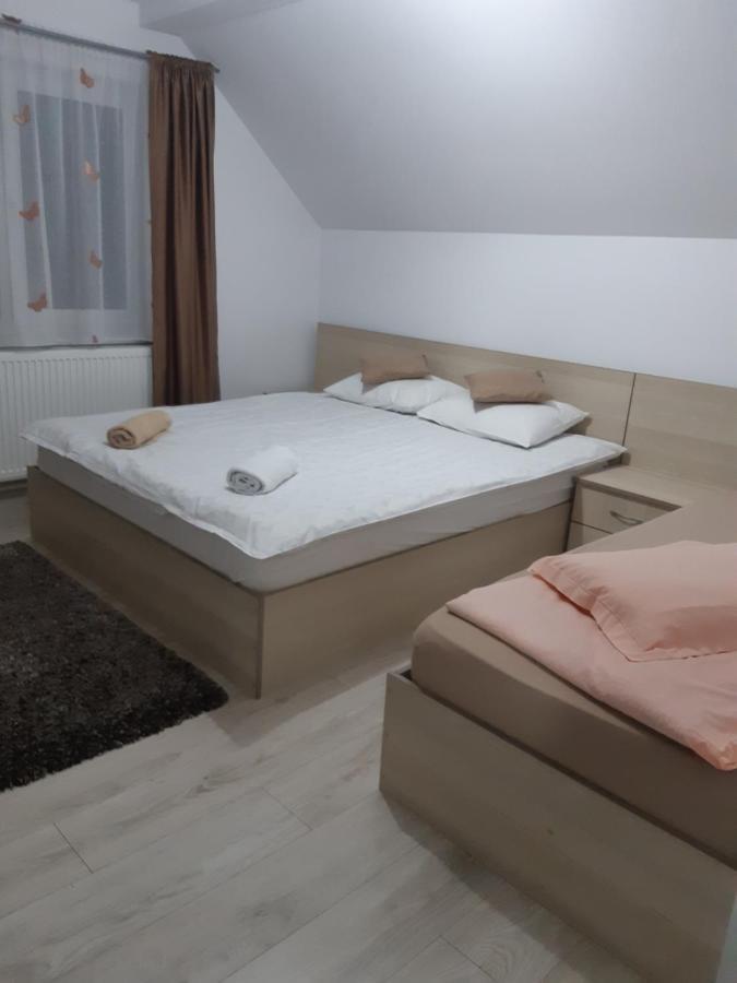 Vila Georgeta Zărneşti Exteriér fotografie