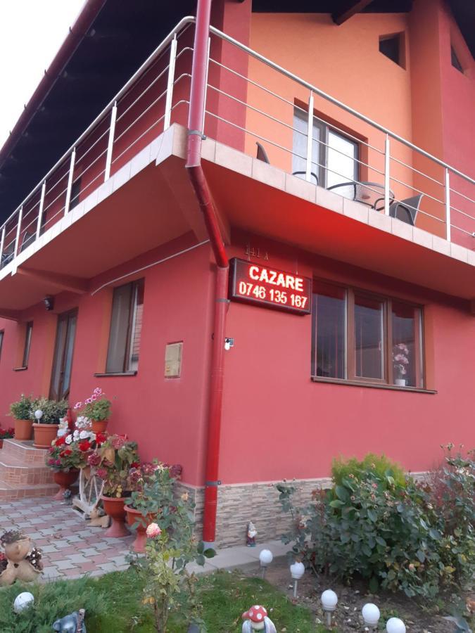 Vila Georgeta Zărneşti Exteriér fotografie