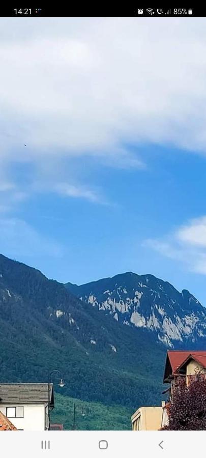Vila Georgeta Zărneşti Exteriér fotografie