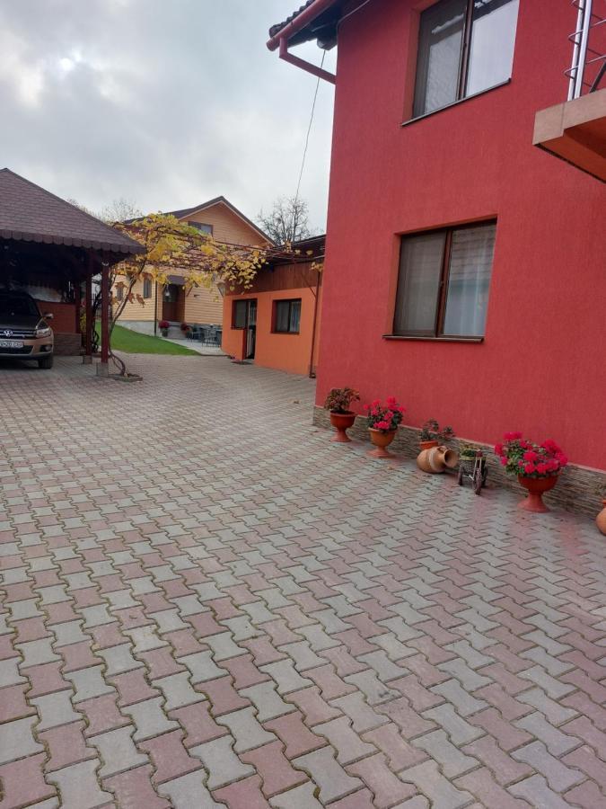 Vila Georgeta Zărneşti Exteriér fotografie