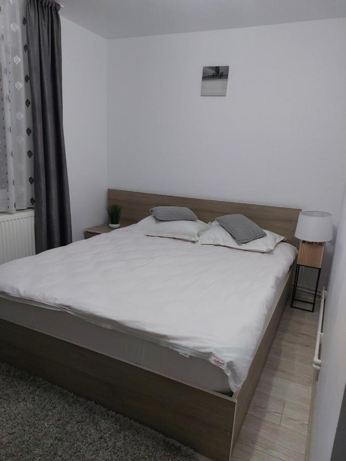 Vila Georgeta Zărneşti Exteriér fotografie