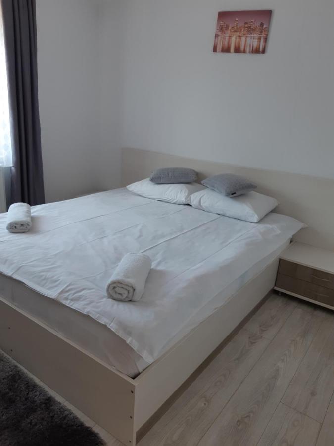 Vila Georgeta Zărneşti Exteriér fotografie
