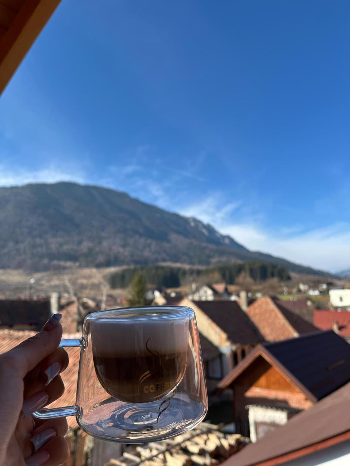 Vila Georgeta Zărneşti Exteriér fotografie