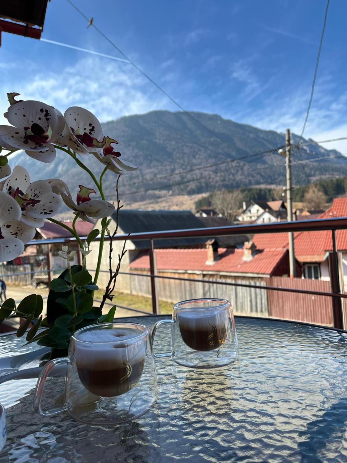 Vila Georgeta Zărneşti Exteriér fotografie