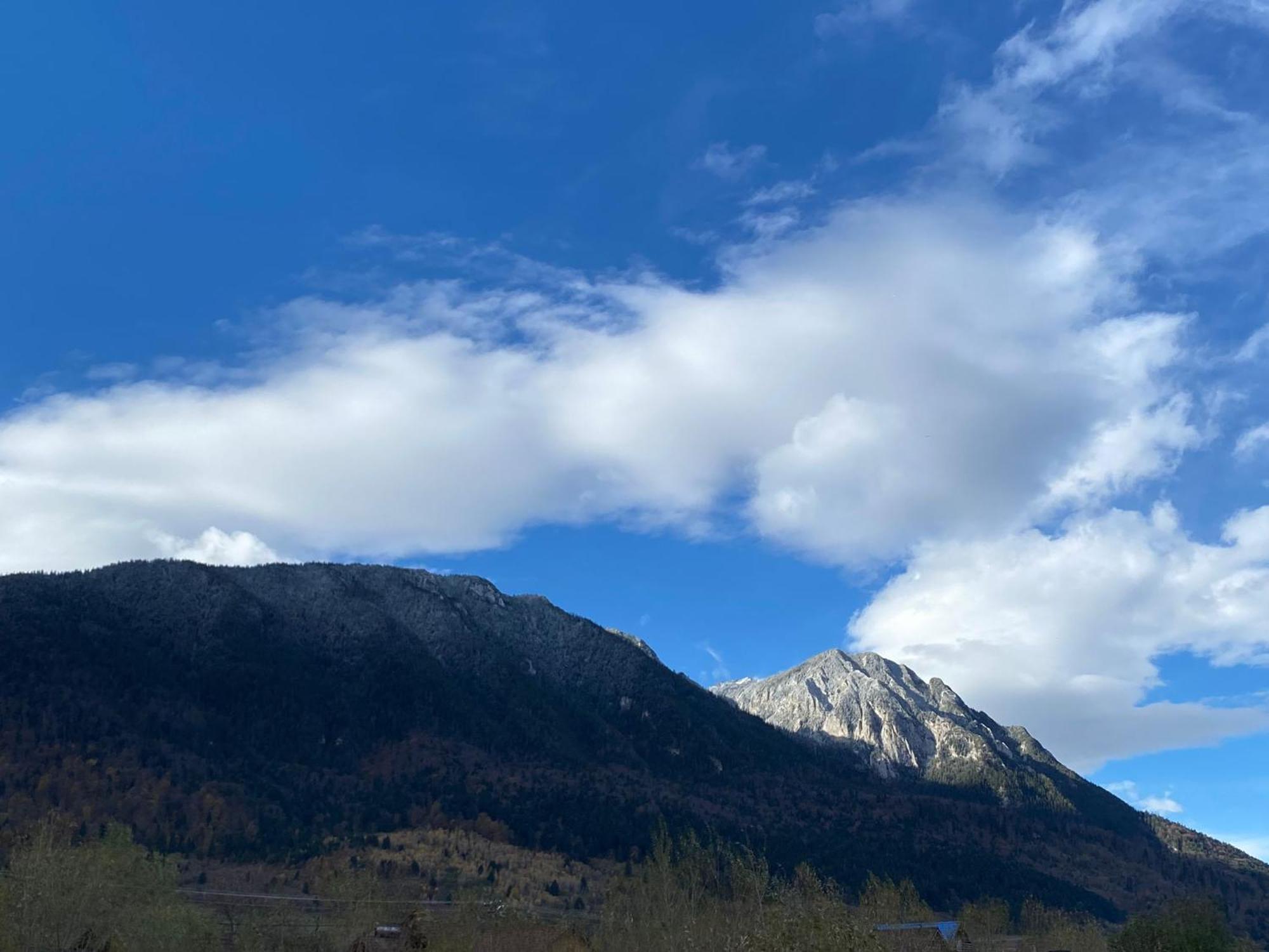 Vila Georgeta Zărneşti Exteriér fotografie