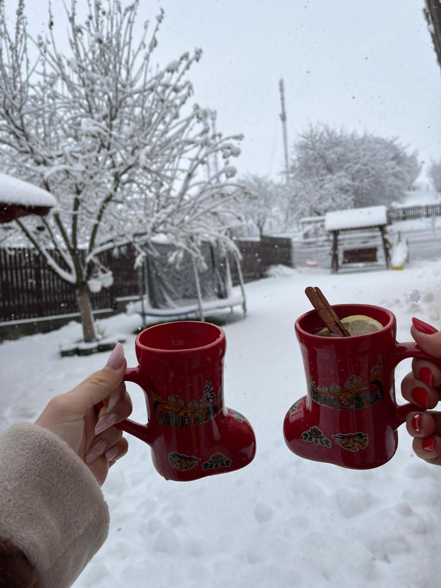 Vila Georgeta Zărneşti Exteriér fotografie
